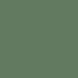 Faraway Kingdom Confetti Cotton Chive SKU C120 -Chive