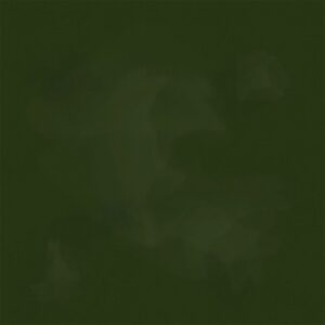 ColorStock Brushstroke - Evergreen - JN-C2970