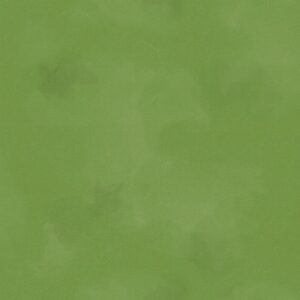 ColorStock Brushstroke - Moss - JN-C2970