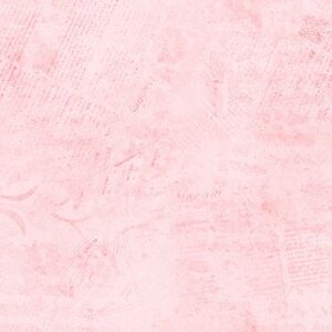 ColorStock Stamps - Blush - CD3838