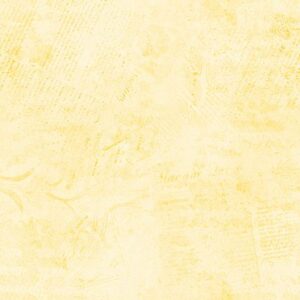 ColorStock Stamps - Cornsilk - CD3838