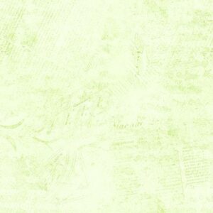 ColorStock Stamps - Spearmint - CD3838